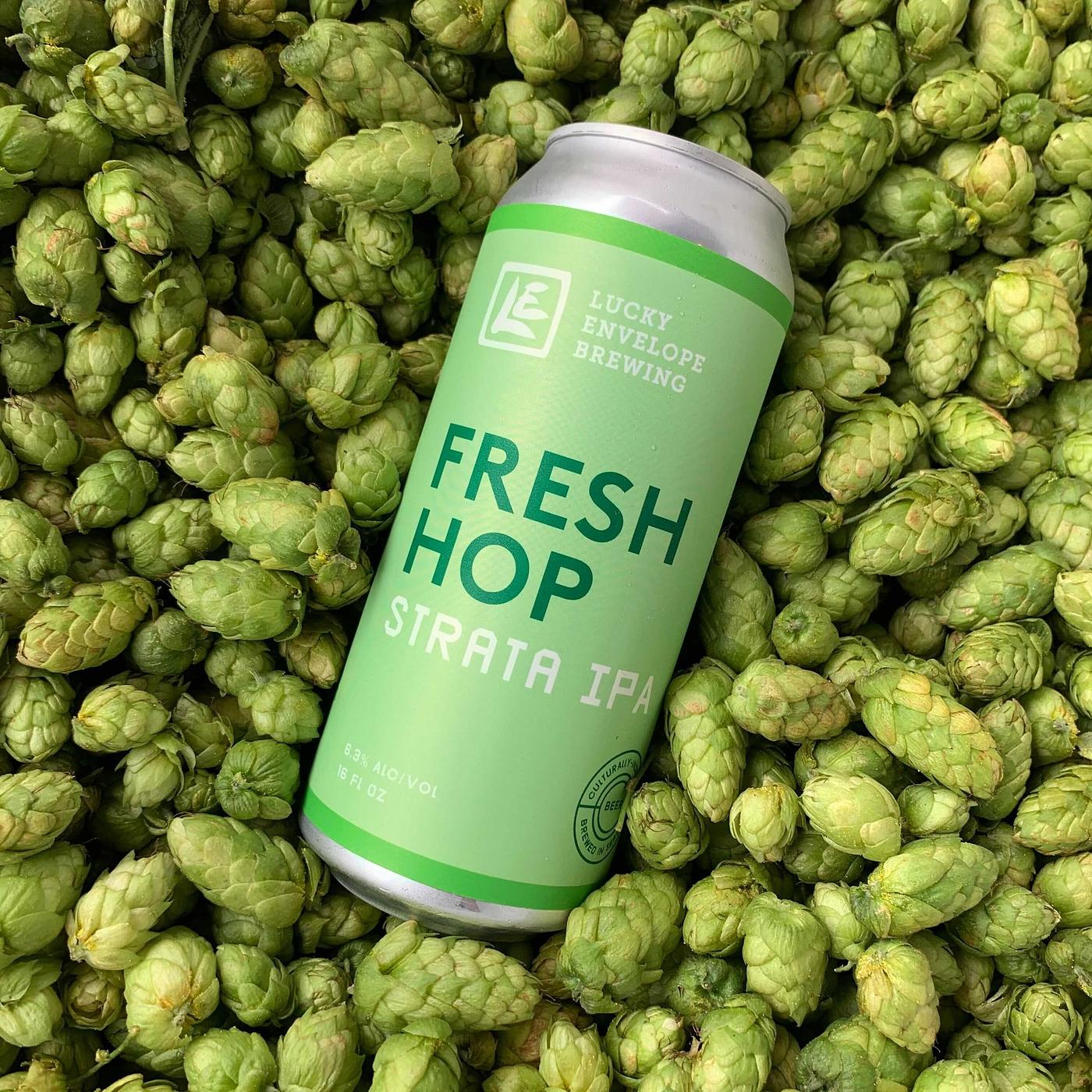 Fresh Hop Strata Hazy IPA by Lucky Envelope Brewing
