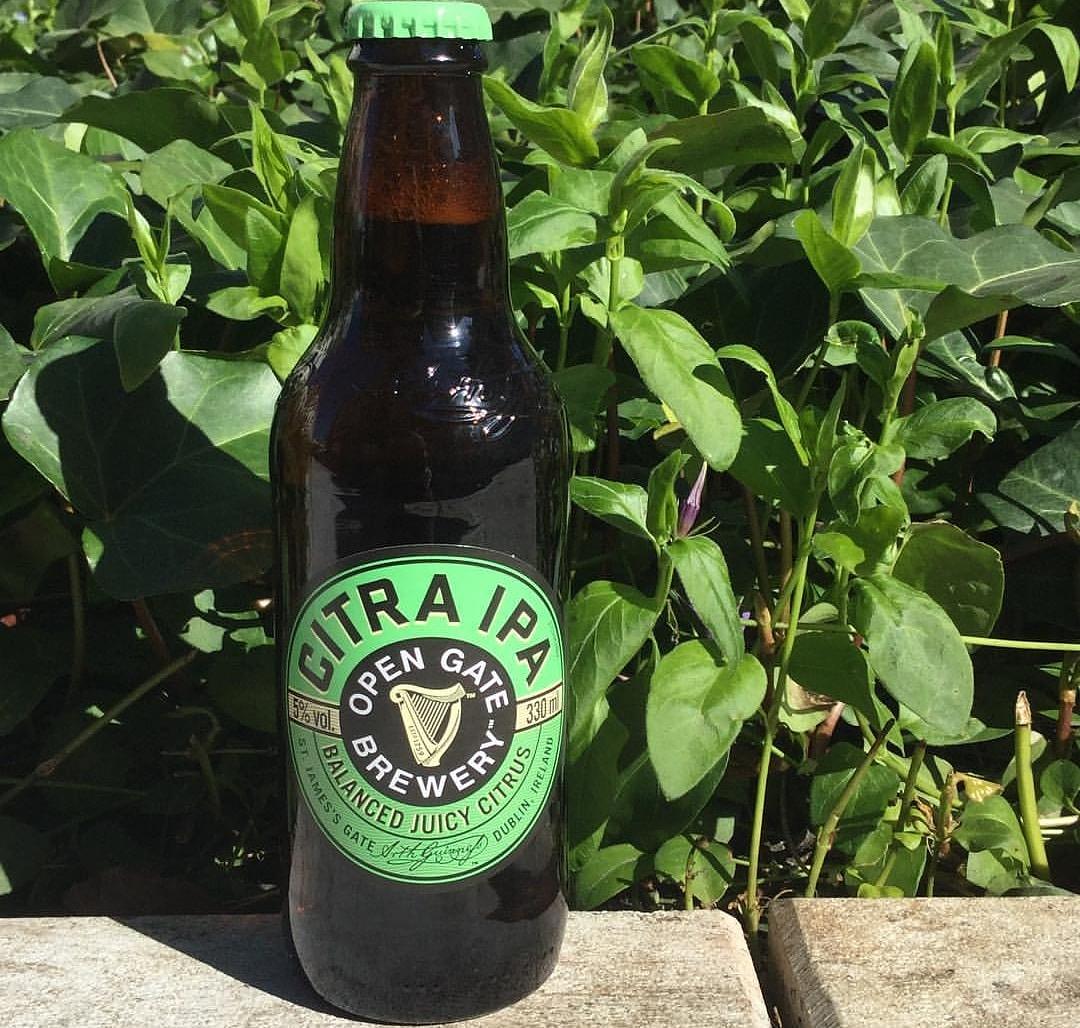 Citra IPA by Machine House Brewery