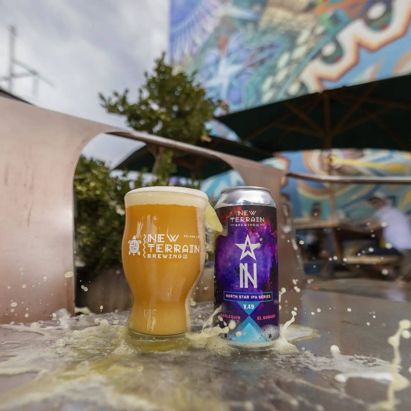 North Star V.49 by New Terrain Brewing Company