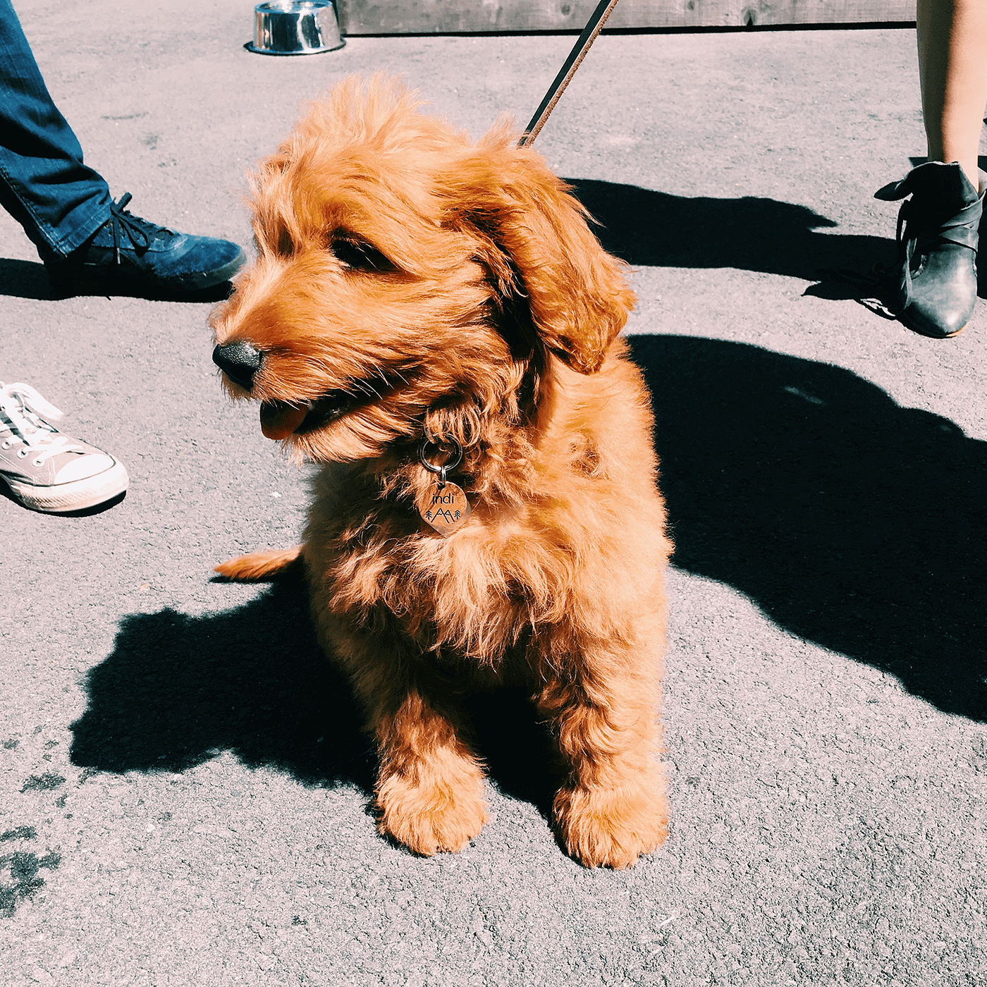 Love by 47 Hills Brewing Co