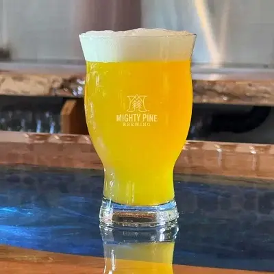 Mighty Joe IPA by APEShip Brewing