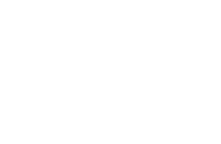 CITRASONIC IPA by Barhop Brewing