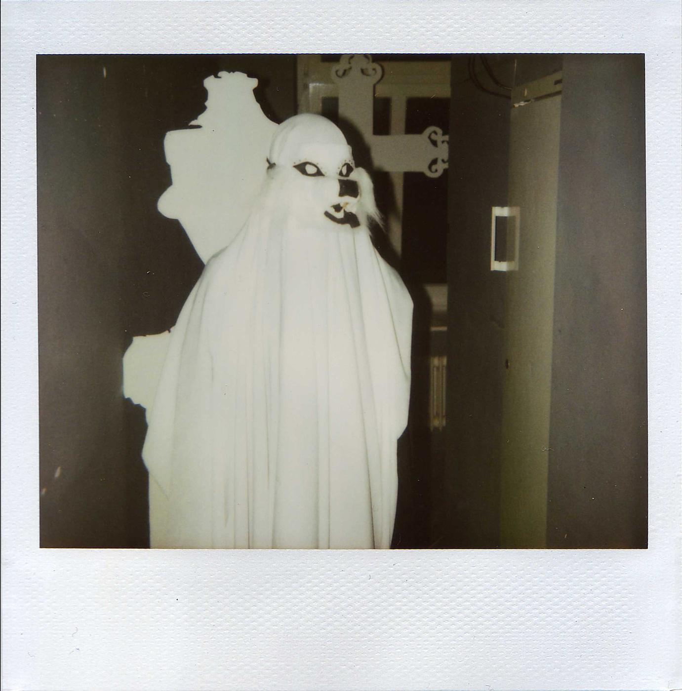 Polaroid Ghost by Black Laboratory Breing