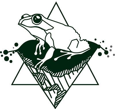 Easy-E by Black Frog Brewing Co