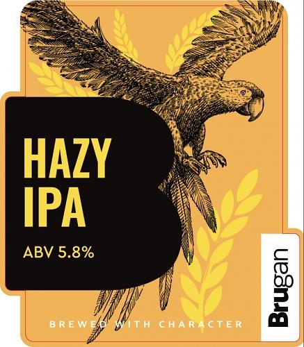 Hazy IPA by Brugan
