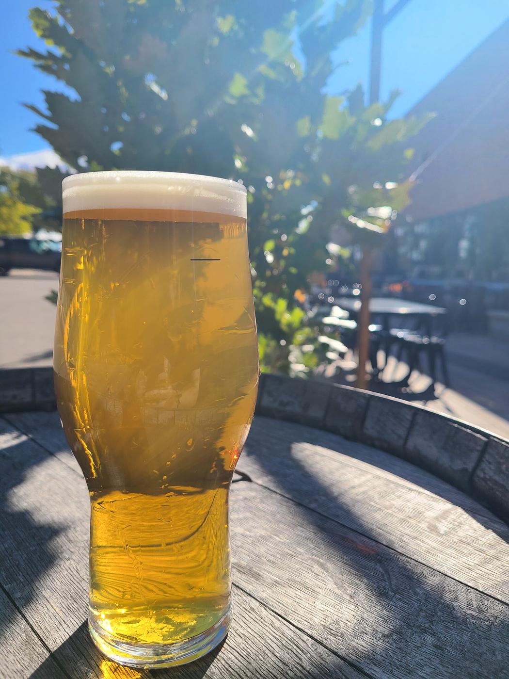 GROWN4U Fresh Hop IPA™ by Cowiche Creek Brewing Company