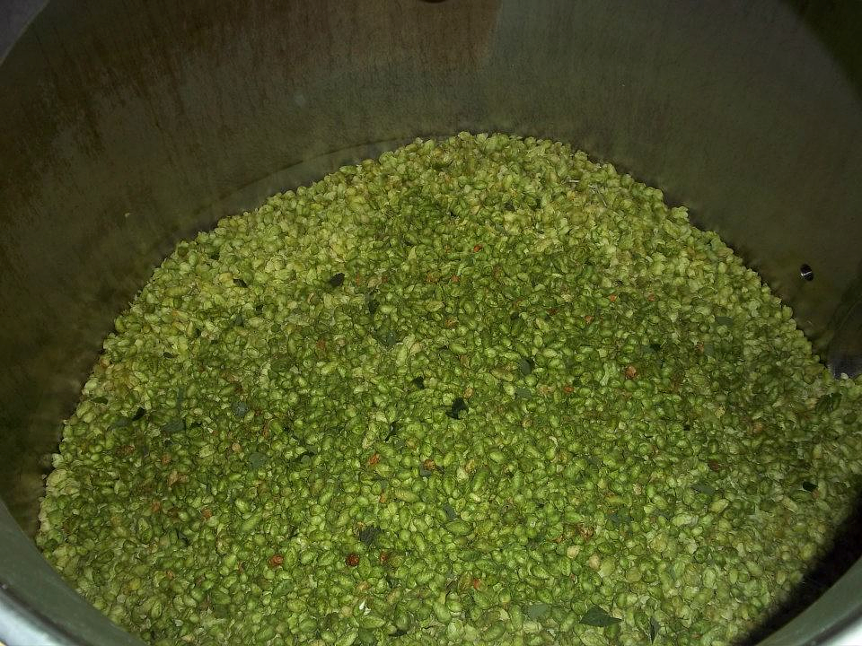 Distortion Double IPA by Desert Edge Brewery