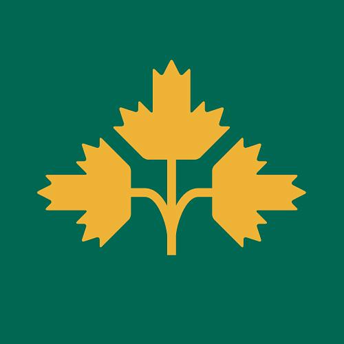 Two Flags IPA by Dominion City Brewing Co.